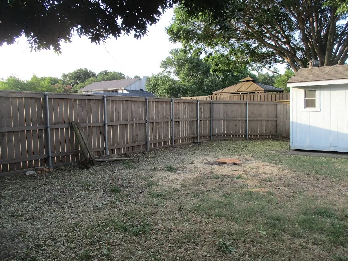 Cleared yard after professional tree removal in Johnson