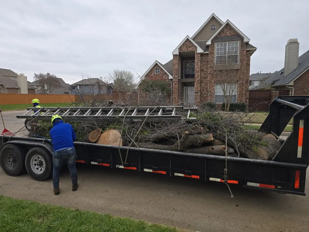 Expert Lot Clearing with proper safety equipment in Johnson